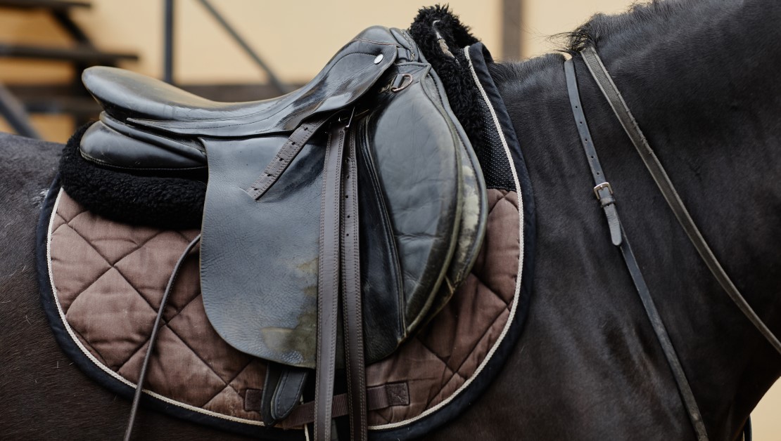 Your Horseback Riding Equipment List